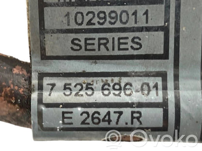 Siksnas spriegotājs