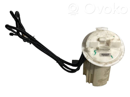 Fuel pump (in the fuel tank)