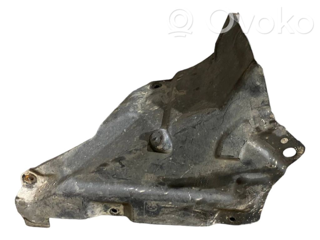 Under engine guard (front)