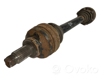 Aizmugurējā pusass