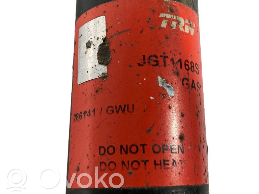 Aizmugurē amortizators