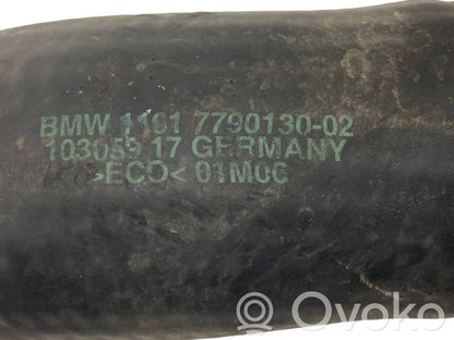 Interkūlera šļūtene (-es) / caurule (-es)