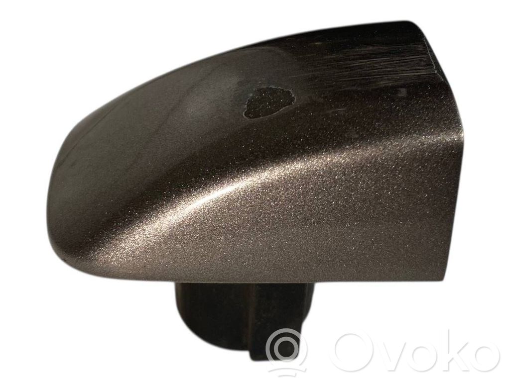 Aizmugurē durvju roktura vāciņš