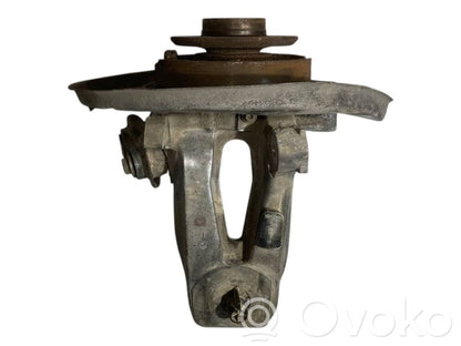 Rear wheel hub shaft joint (stupica, capfa)