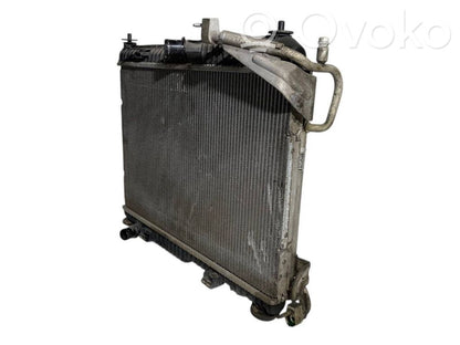 Dzesēšanas šķidruma radiators