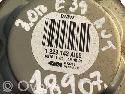 Aizmugurējā pusass