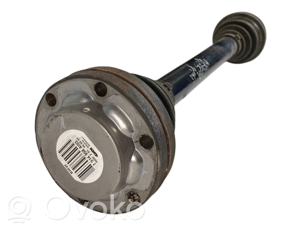 Aizmugurējā pusass