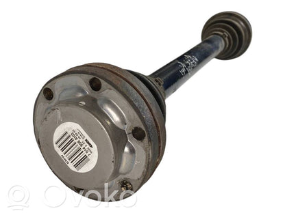 Aizmugurējā pusass