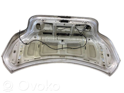 Aizmugurējais pārsegs (bagāžnieks)