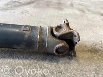 Aizmugurējais kardāns