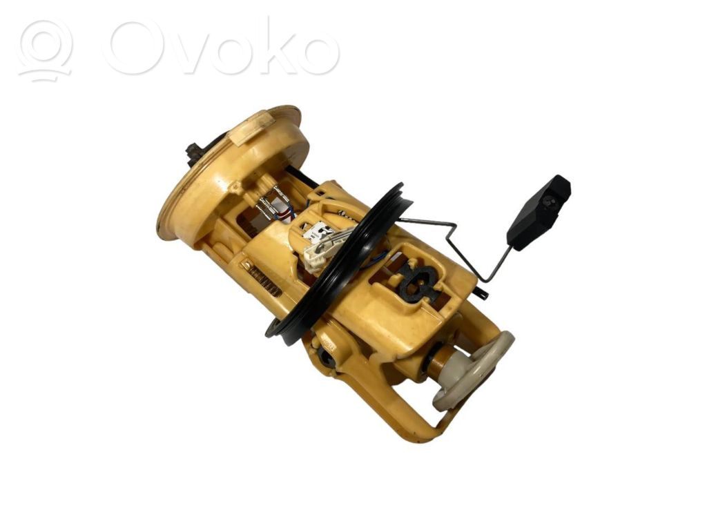 Fuel pump (in the fuel tank)