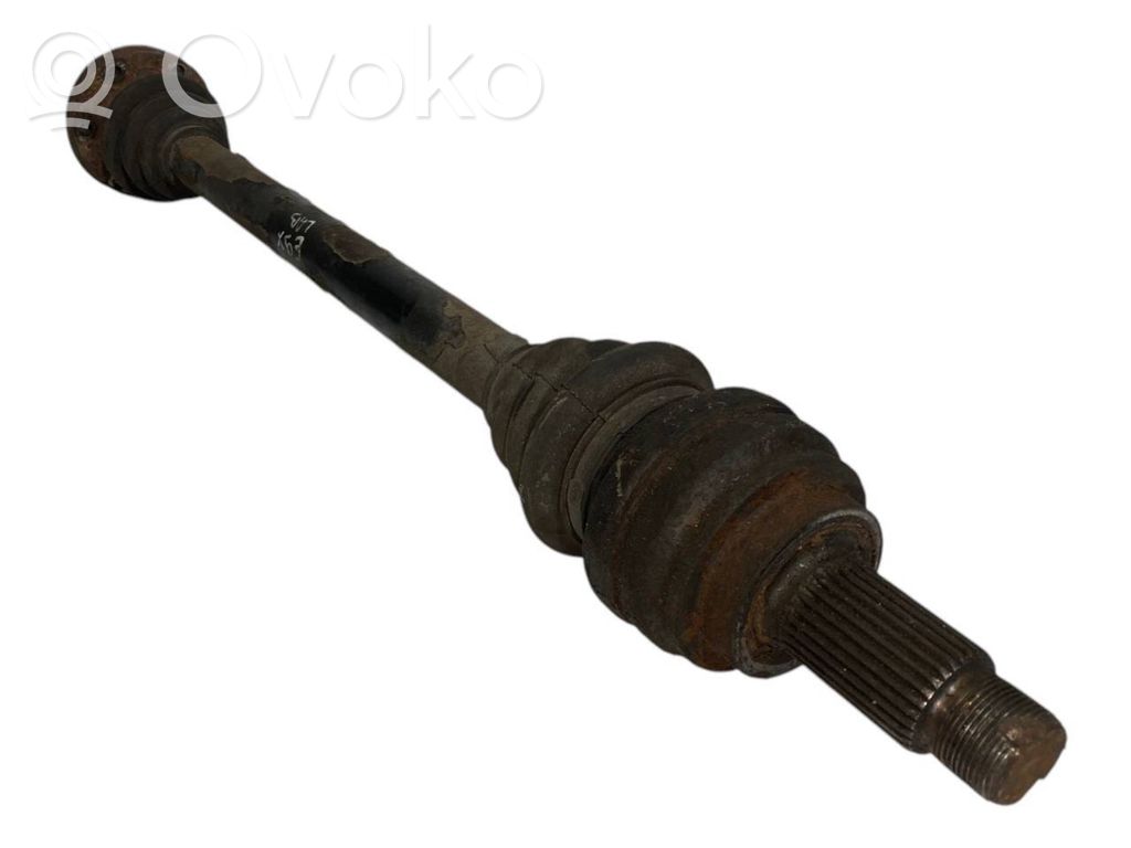 Aizmugurējā pusass