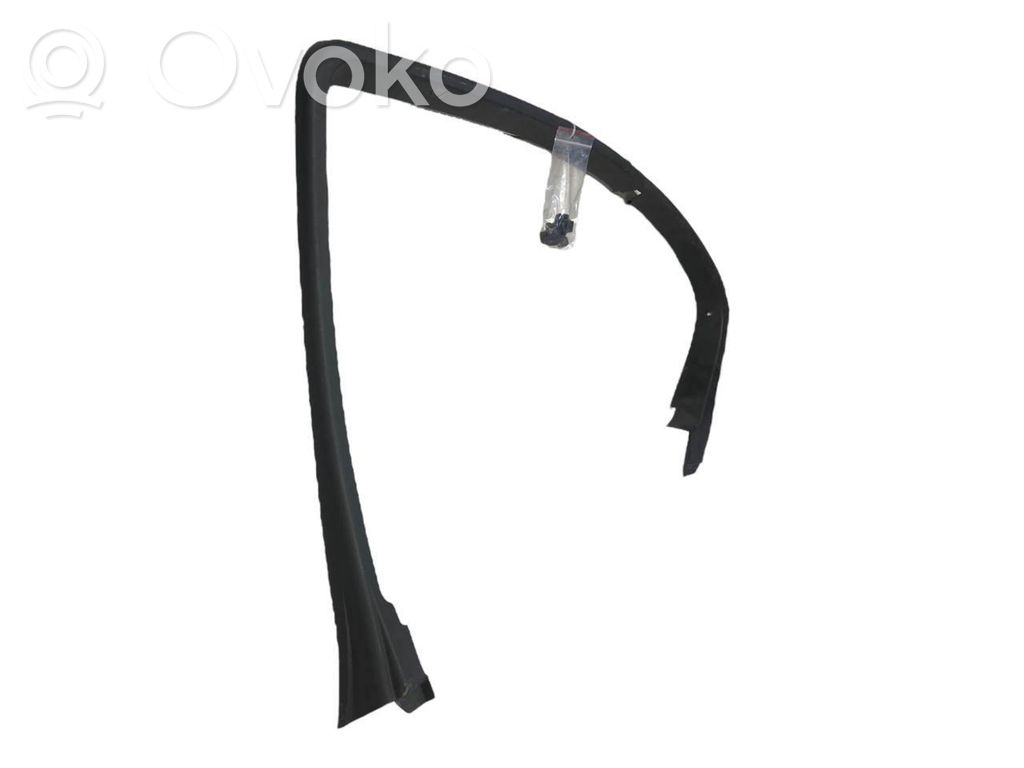 Aizmugurē durvju stikla rāmis