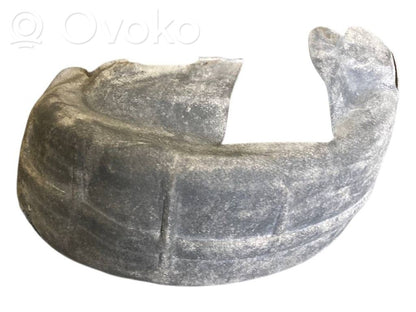 Aizmugurējais apakšspārns