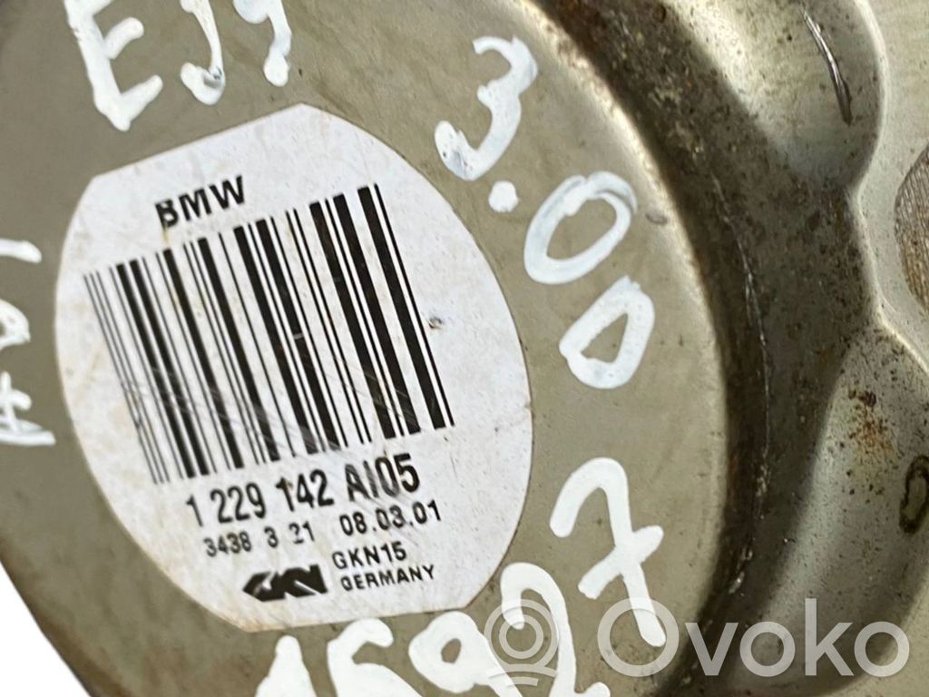 Aizmugurējā pusass