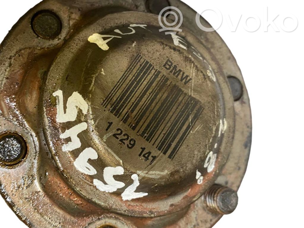 Aizmugurējā pusass