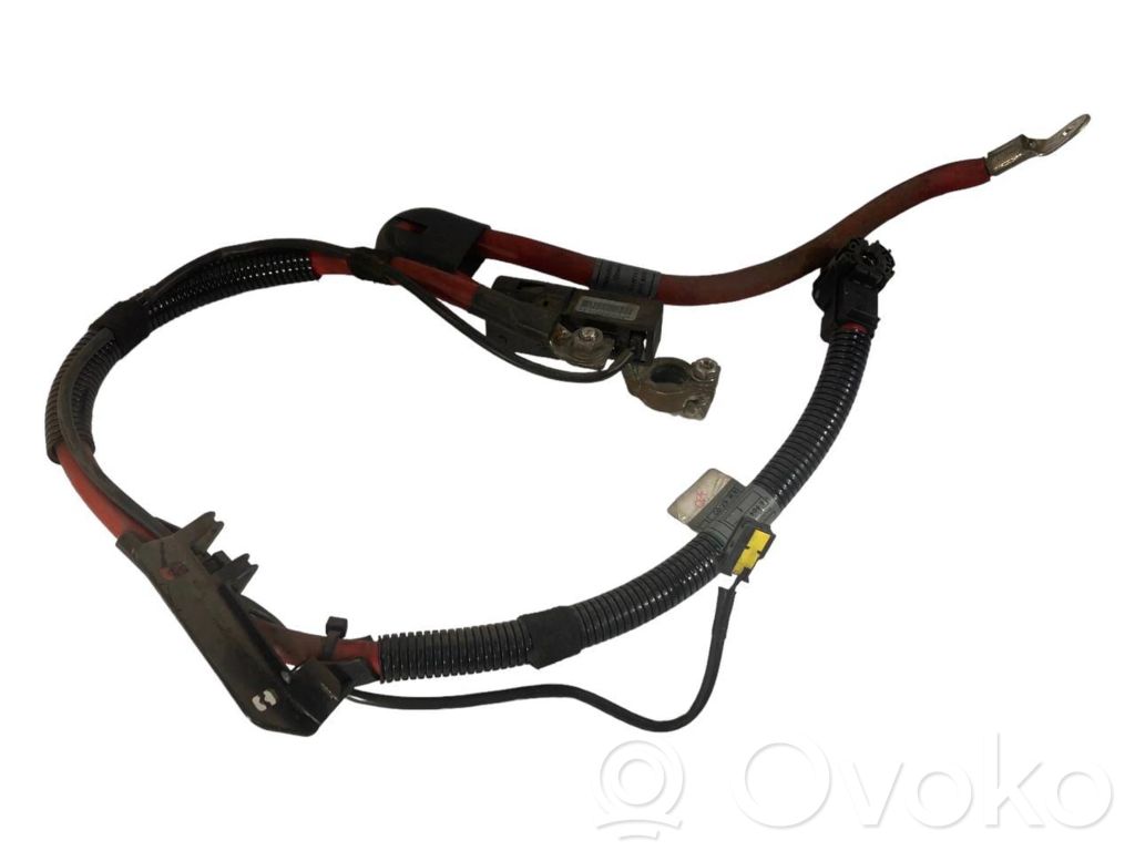 Plusa vads (akumulatora)