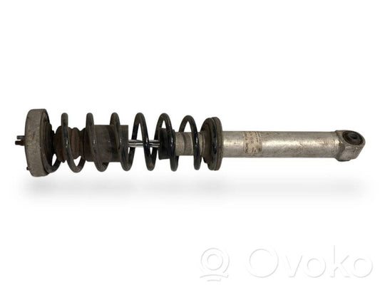 Rear shock absorber with spring