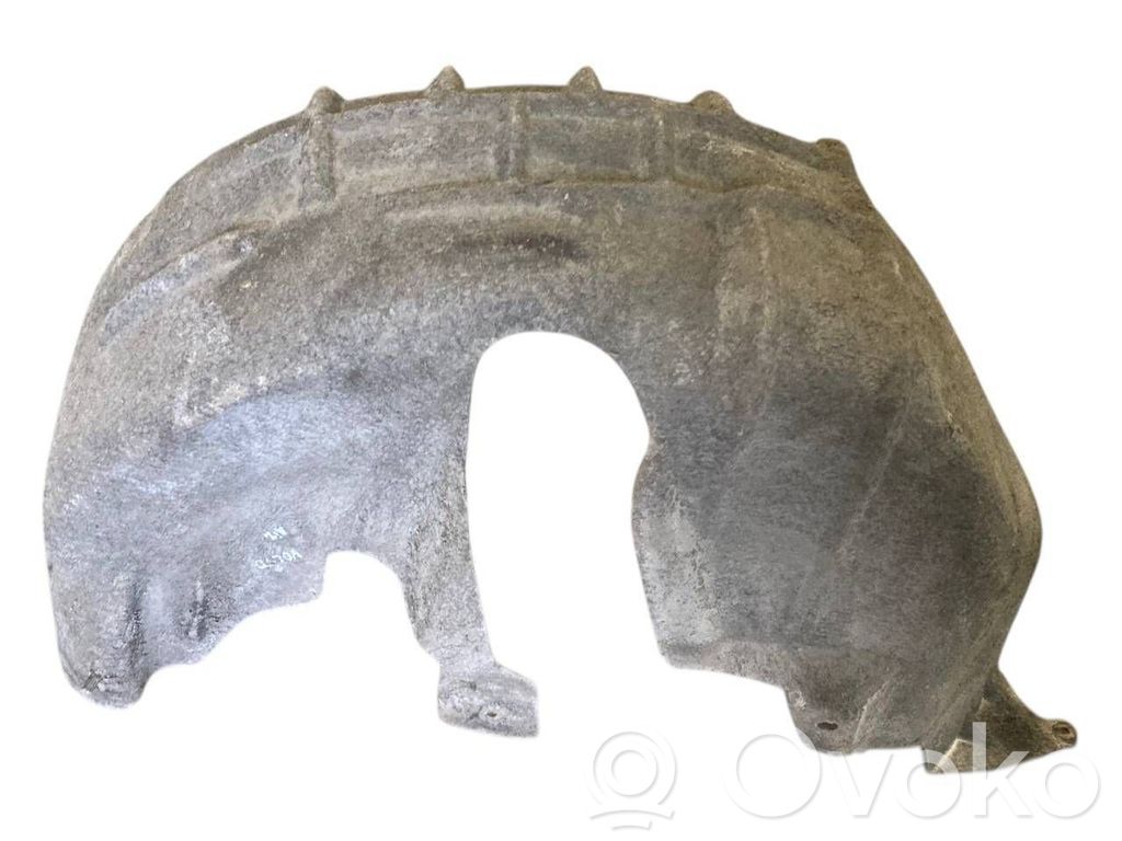 Aizmugurējais apakšspārns