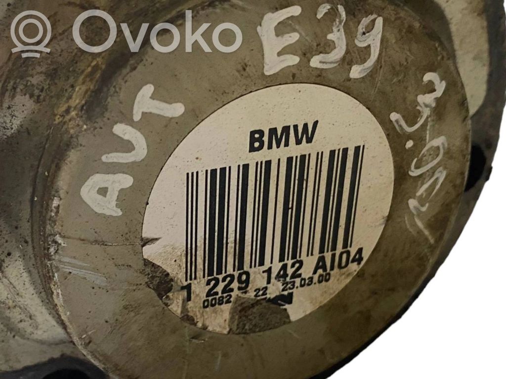 Aizmugurējā pusass