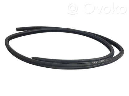 Aizmugurē apdares gumija (virsbūvē)