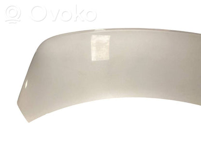 Задняя крышка (багажник)