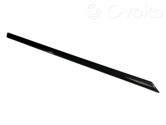 Aizmugurē durvju dekoratīvā apdare (moldings)