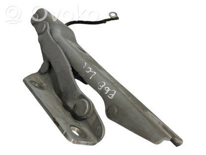 Петли капота двигателя