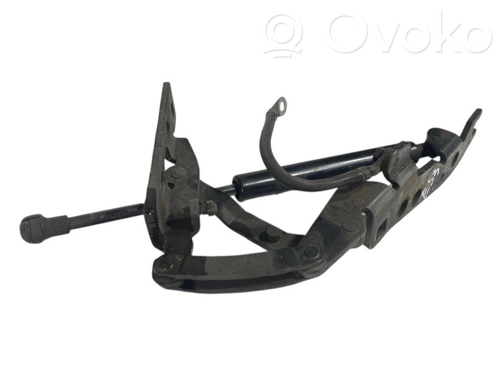 Dzinēja pārsega eņģe (-es)