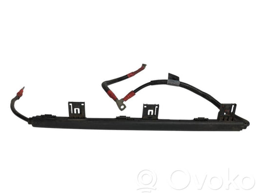 Plusa vads (akumulatora)