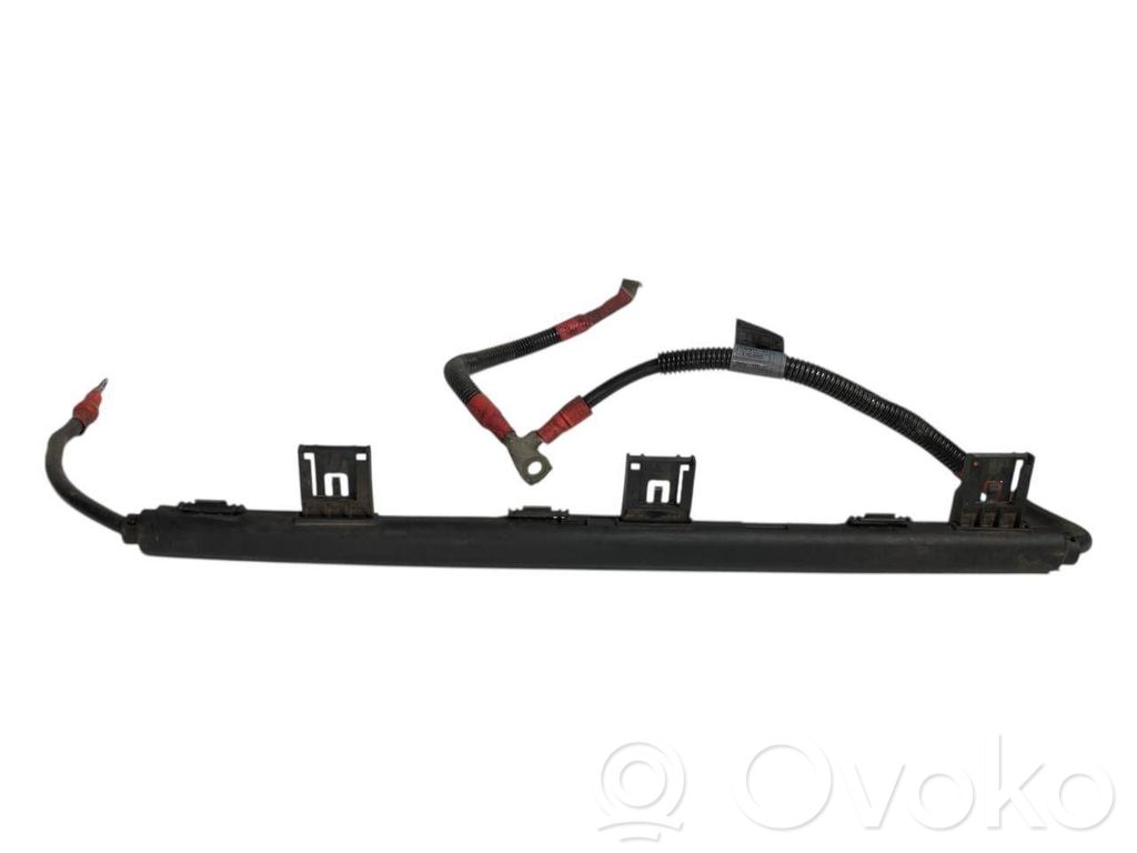 Plusa vads (akumulatora)