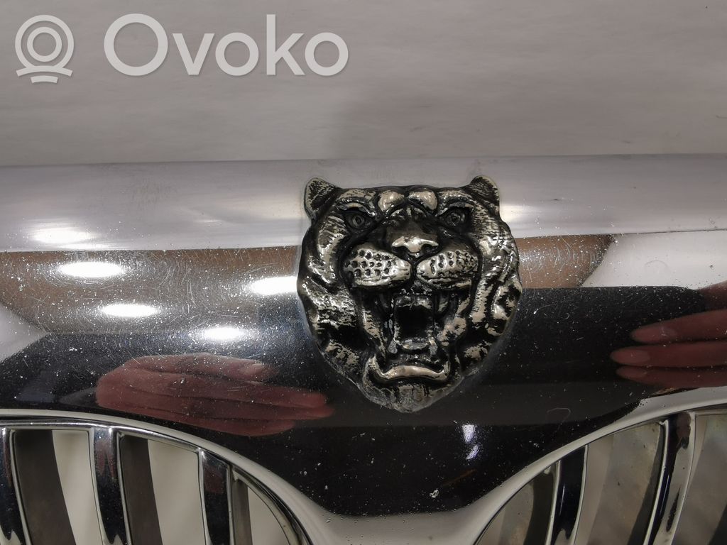 Priekšējais režģis