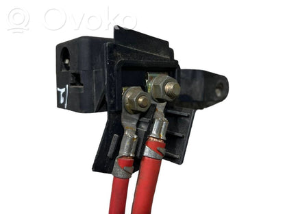 Plusa vads (akumulatora)