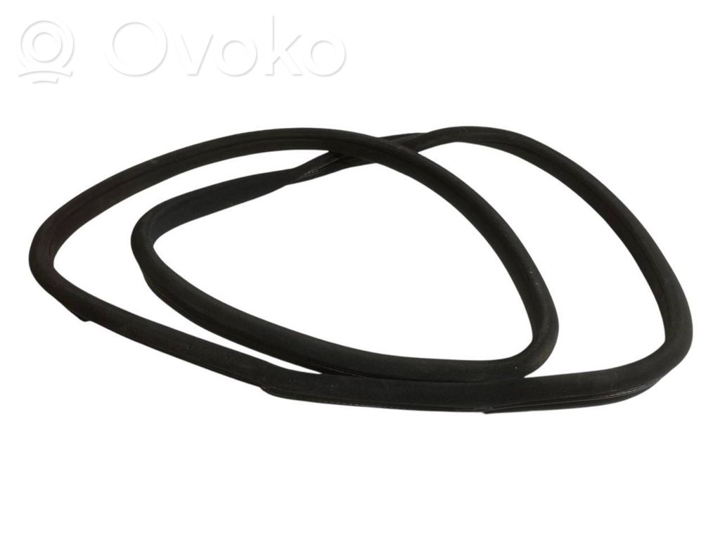 Front trim rubber (in the body)