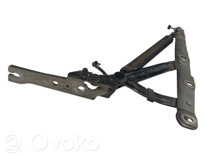 Aizmugurējā pārsega eņģe (-ess)