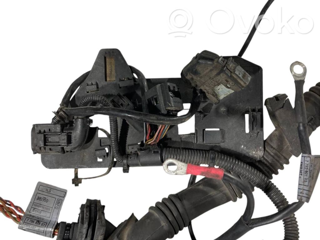 Engine wiring harness