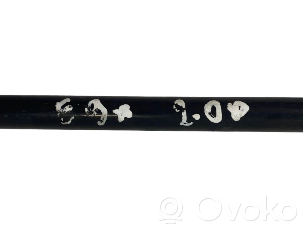 Stabilizatora stienis