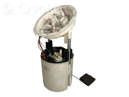 Fuel pump (in the fuel tank)