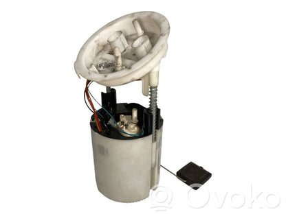 Fuel pump (in the fuel tank)