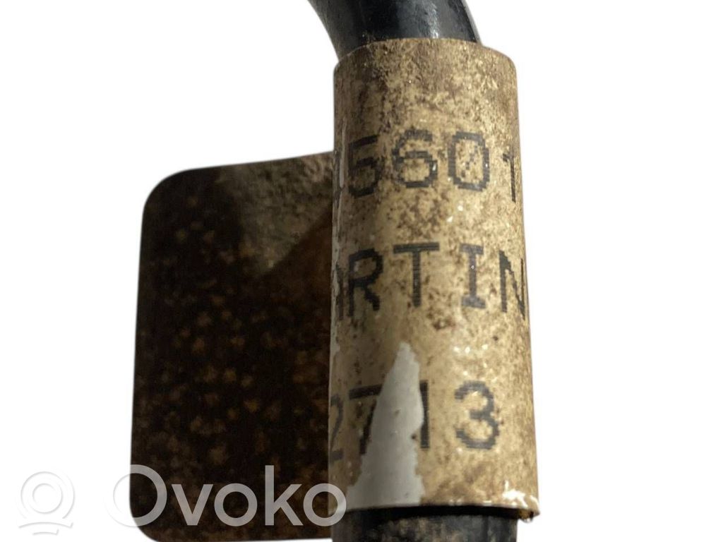 Caurule (-es) / šļūtene (-es)