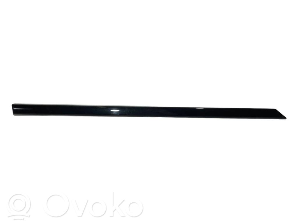 Aizmugurē durvju dekoratīvā apdare (moldings)