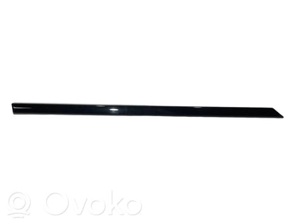 Aizmugurē durvju dekoratīvā apdare (moldings)