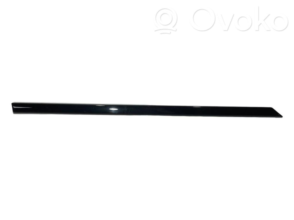 Aizmugurē durvju dekoratīvā apdare (moldings)