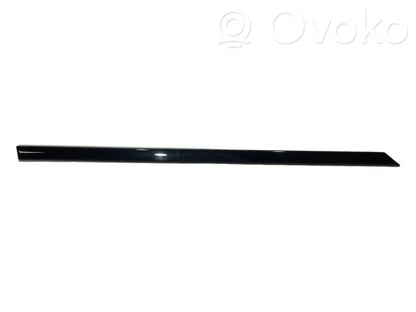 Aizmugurē durvju dekoratīvā apdare (moldings)