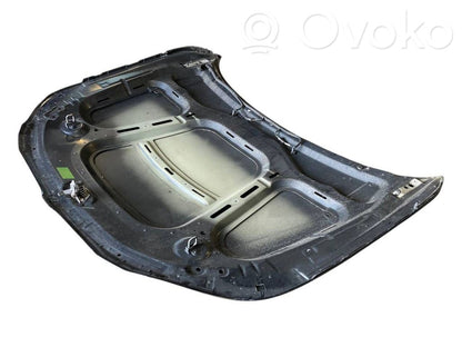 Dzinēja pārsegs (vāks)