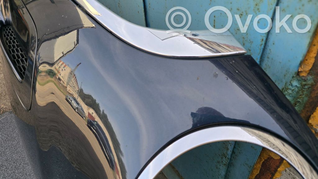 Dzinēja pārsegs (vāks)