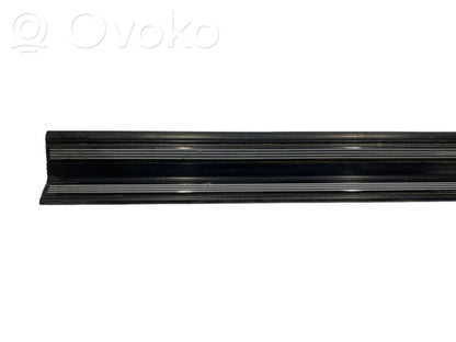 Front sill trim (inner)
