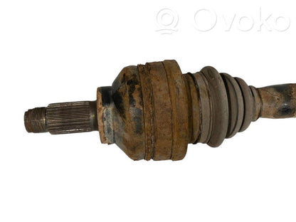 Aizmugurējā pusass