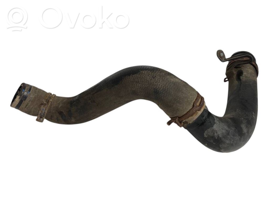 Interkūlera šļūtene (-es) / caurule (-es)