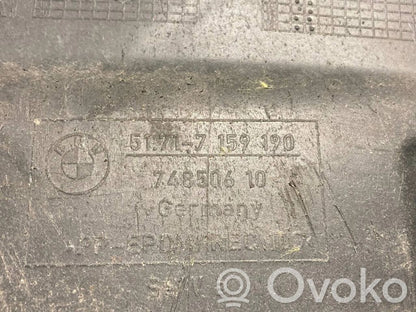 Under engine guard (front)
